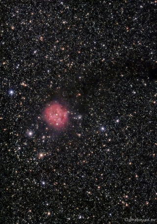 <h5>Cocoon Nebula</h5>