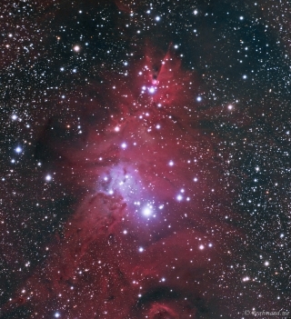 <h5>Cone Nebula and Christmas Tree Cluster</h5>