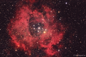 <h5>Rosette Nebula (NGC 2237)</h5>