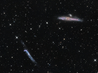 <h5>Whale & Tadpole Galaxies</h5>