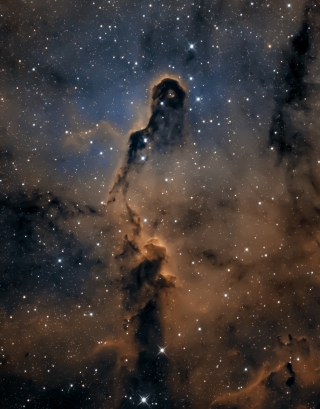 <h5>Elephant Trunk Nebula</h5>