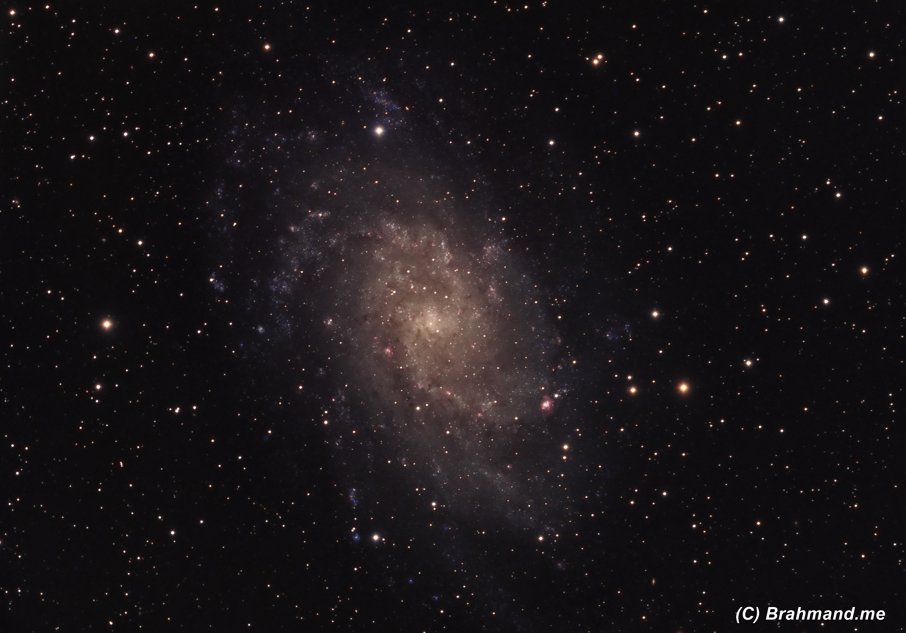 M33