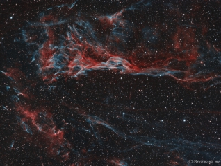 <h5>Pickering’s Triangular Wisp</h5>