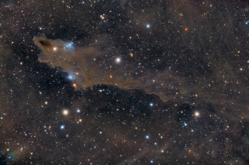 <h5>Shark Nebula</h5>